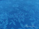 Satén Colour azul