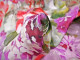 Organza de Seda Damaris