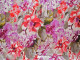 Organza de Seda Damaris