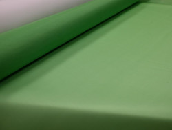 Organza de Seda 100% | Tejido de Lujo para Alta Costura | Color Verde