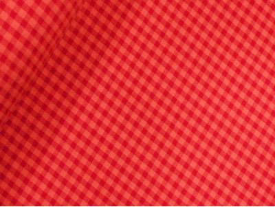 Vichy Seersucker rojo y coral