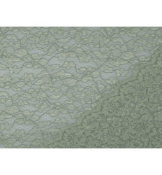 Encaje Verde Pastel Doble Festón