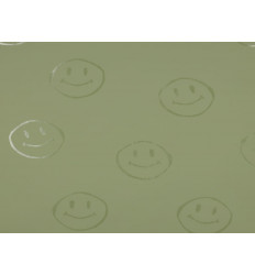 Tela Impermeable Verde | Raincoat técnico PU | Exterior